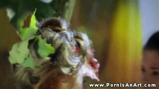 Δύο καυτά κορίτσια γλείφουν το μουνί της έξω