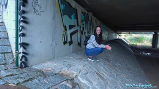 Δημόσιος υπάλληλος - τι κάνεις κάτω από τη γέφυρα;